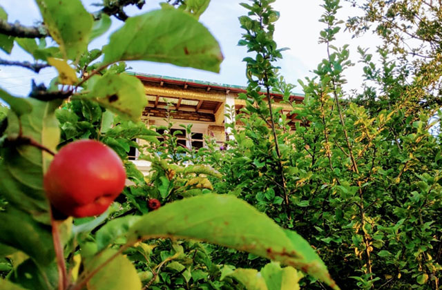 best resort in mukteshwar